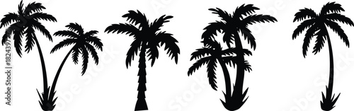 Set of black palm trees silhouettes vector illustration, featuring tropical, coconut, and exotic plants for summer beach, travel, and vacation designs isolated.