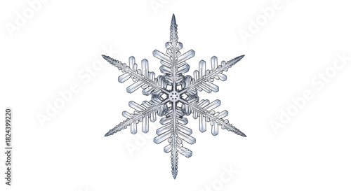 Detailed macro photo of an intricate real snowflake on a transparent background, PNG image, PNG file