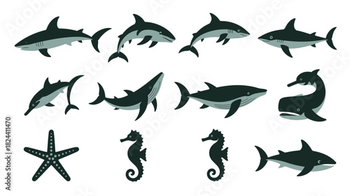 Collection of sea animals vector illustration of marine wildlife isolated on white background