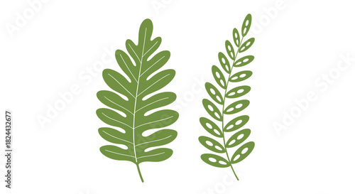 Two stylized green leaves, one broad and lobed, the other slender with oval cutouts, are illustrated on a clean white background.