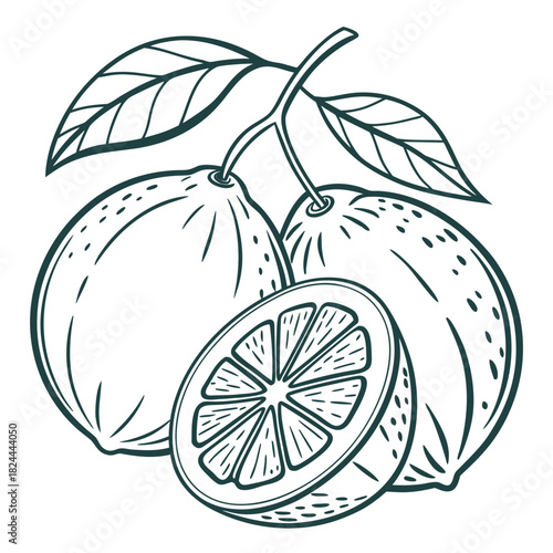 rangpur lime with leaves