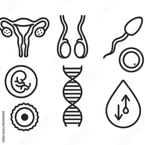 Reproductive System Icons. Reproductive organs concept linear icon set: uterus, ovaries, testicles, sperm cell, egg cell, embryo, DNA helix, hormone drop