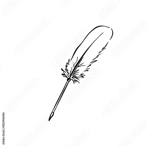 A quill with feather, writing equipment.