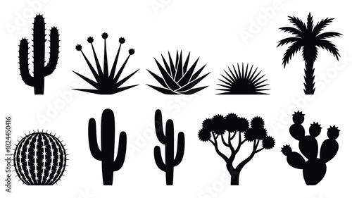 Set of desert plant silhouettes including cactus agave and palm tree vector illustration isolated on white background