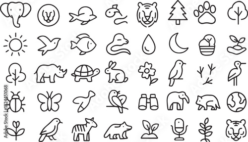 Collection of nature and animal icons, simple line art style Vector