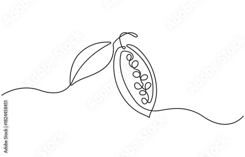 Continuous one line drawing of cacao beans on a branch, isolated on transparent background.