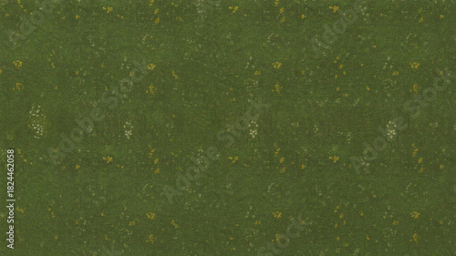 Fototapeta Naklejka Na Ścianę i Meble -  Overhead view of a green meadow with small wildflowers in a seamless pattern