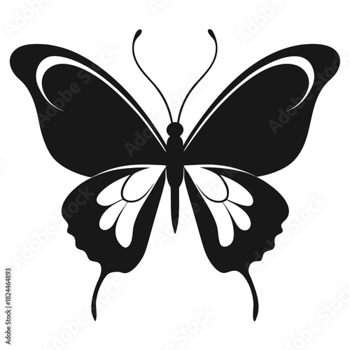 Black and white butterfly silhouette with detailed wing patterns on white background Keywords: butterfly, silhouette, black, white, insect, wings