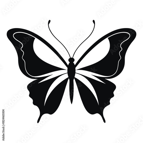 Black Butterfly Silhouette with White Wing Designs on White Background insect