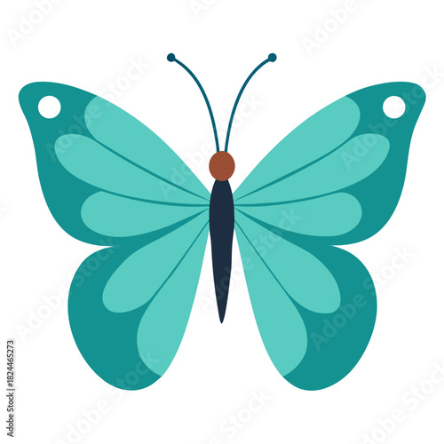 Flat design teal butterfly with white dots on white background insect animal