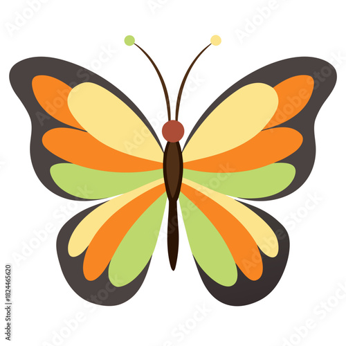 Orange green and yellow butterfly with dark grey wings on white background Keywords: butterfly, insect, wing, nature, animal, art, graphic, design