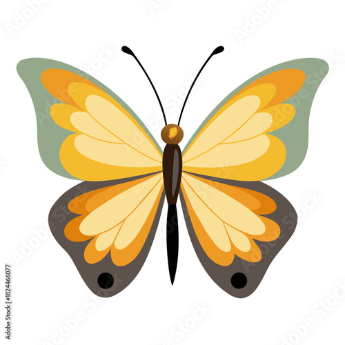 Yellow and grey butterfly with orange accents on white background Keywords: butterfly, insect, wing, nature, animal, art, graphic, design