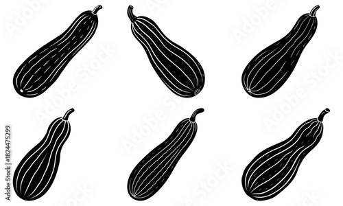 Illustration of six black and white zucchinis with vertical stripes on a white background showcasing vegetables