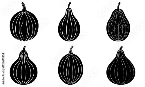 Illustration of six gourds with vertical lines in black and white simple vector graphic design style