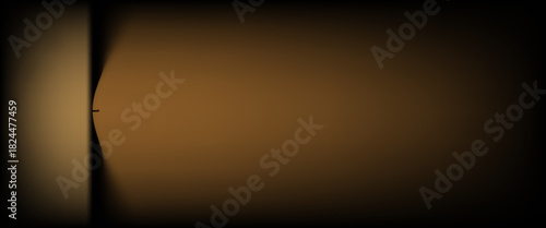 Dark gold gradient background studio with two lights shiny abstract pattern, modern and luxury empty room interior for premium product display lighting. eps 10