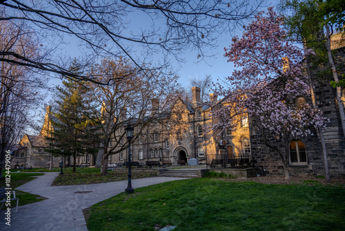 Photography University College courtyard in spring