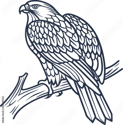 Falcon perched on branch line art detailed raptor bird illustration with wings, feathers, tail and claws