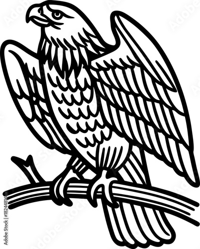 Eagle perched on branch, detailed line art raptor illustration with spread wings