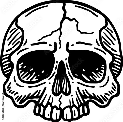 hand drawn human skull illustration with bold black lines and detailed bone cracks