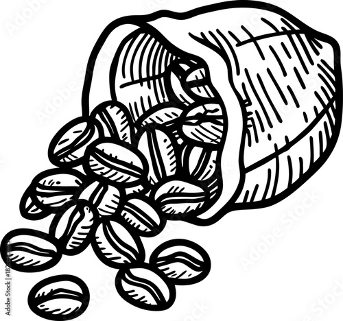 Hand drawn burlap sack with roasted coffee beans spilling out in vintage sketch illustration