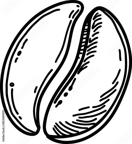Single coffee bean illustration, black and white contour drawing of aromatic roasted seed icon