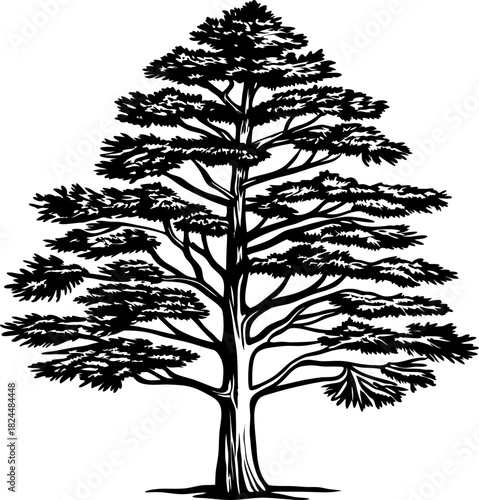 Majestic evergreen tree silhouette illustration with detailed branches and foliage design
