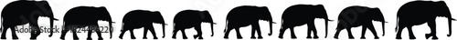 Silhouette of elephants walking in line, wildlife family, nature conservation, safari animals, herd movement, majestic African elephants illustration