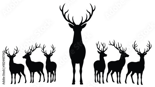 silhouettes of deer