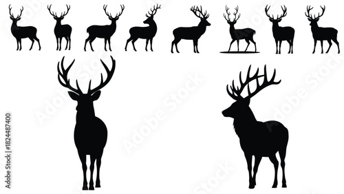 Collection of deer silhouettes with variations of males and females, diversity of antlers, and wildlife poses