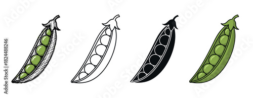 Set of four green pea pod illustrations in various graphic styles, including a hand-drawn sketch, minimalist line art, a solid black silhouette, and a flat color cartoon