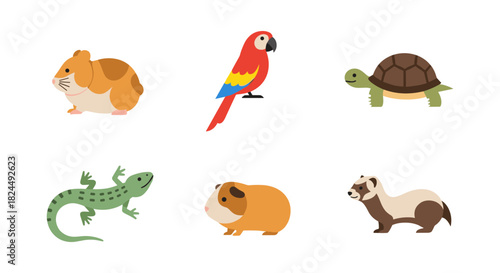 Cute flat illustrations of small animals for pet lovers