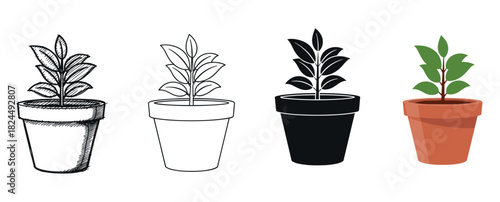 Set of four potted plant illustrations showing different artistic styles including a hand-drawn sketch, clean line art, a solid black silhouette, and a colorful flat vector design