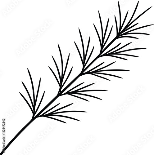 Black line art pine branch with needles on background