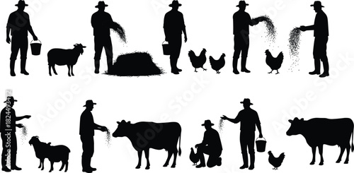 Silhouette of farmer feeding cows, sheep, and chickens, rural agriculture, livestock care, farm animals feeding, countryside farming, agriculture lifestyle.
