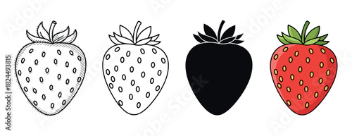 Set of four strawberry illustrations showing different artistic styles including a hand-drawn sketch, clean line art, a solid black silhouette, and a full color cartoon design