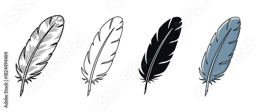 Four beautiful bird feather illustrations presented in a row, showing various graphic styles from detailed sketch and simple outline to solid black silhouette and colored cartoon