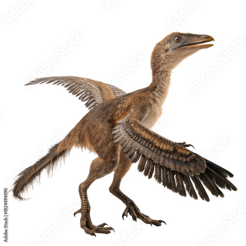 Realistic Archaeopteryx Dinosaur Bird Isolated on White Background

