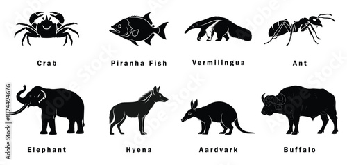 Black silhouettes of various animals including crab, piranha, elephant, and buffalo