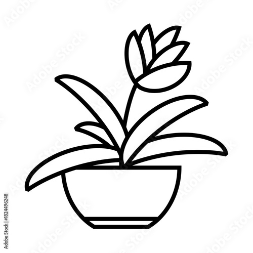 urn plant