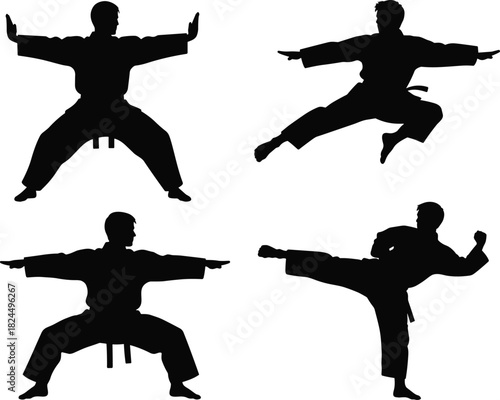 Set of Martial Arts Silhouettes in Dynamic Karate and Taekwondo Poses, Illustrating Combat Training, Discipline, Self-Defense, Strength, and Concentration Concepts