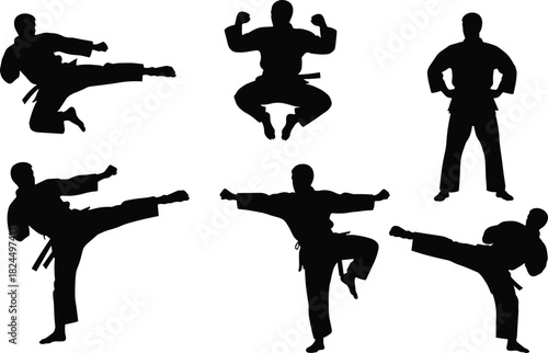 Collection of Dynamic Martial Arts Silhouettes Performing High Kicks and Powerful Combat Stances, Representing Skill, Discipline, Self-Defense, and Athleticism in Training.
