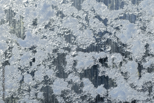 Greenhouse wall made of transparent polycarbonate is covered with frost and snow