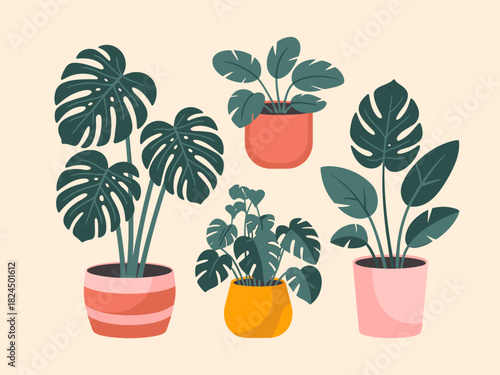 Vibrant Indoor Plant Collection A Cheerful Gathering of Potted Greenery Bringing Life and Color to Any Space