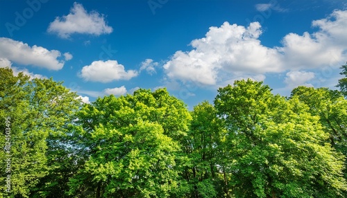 summer scene featuring lush green tree tops contrasted against a vibrant blue sky and fluffy clouds this green tree top line creates a serene and refreshing atmosphere in the summer