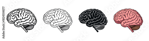 Set of four human brain illustrations showing different graphic styles including a hand-drawn sketch, simple line art, a black silhouette, and a full-color cartoon version