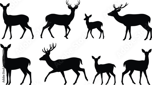 Deer silhouette vector set, black stag and doe collection, wild forest animal icons, nature mammal design element isolated on white.
