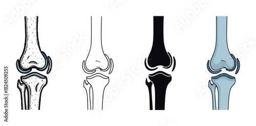 Four human knee joint anatomy illustrations in a set of different styles including hand-drawn sketch, simple line art, solid black silhouette, and a flat color vector design
