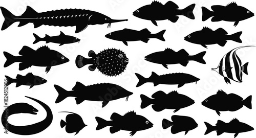 Black Silhouette Vector Set of Diverse Fish Species, Including Sturgeon, Pufferfish, Angel Fish, and Eels, Illustrating Marine Life, Fishing, and Aquatic Ecosystems for Design.
