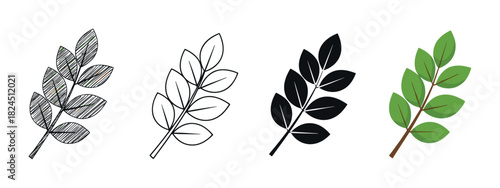 Set of four leaf branch illustrations in different artistic styles including sketch, outline, silhouette, and flat color design for various graphic elements and nature concepts