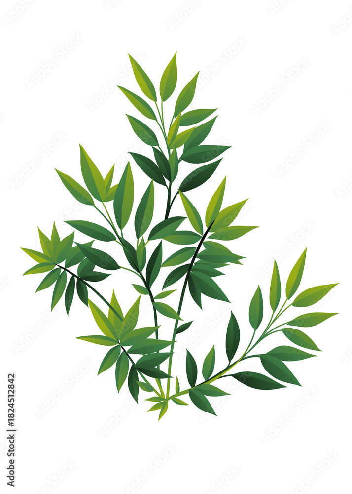 Fototapeta premium Green foliage illustration on a black background